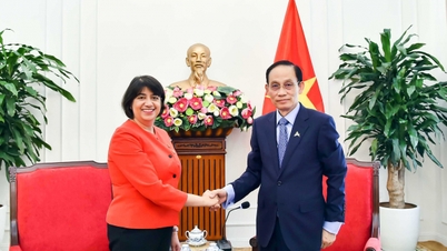 El ministro de Asuntos Exteriores, Le Hoai Trung, recibe al ministro de Estado británico de Asuntos Exteriores.