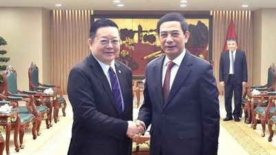 Phó Thủ tướng Phan Văn Giang tiếp Tổng Thư ký ASEAN Kao Kim Hourn