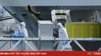 Informasi terbaru mengenai wabah hantavirus yang terkait dengan kapal pesiar internasional.