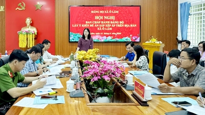 Xã Ô Lâm dự kiến giảm còn 15 ấp