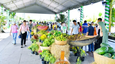 Bước khởi đầu cho chiến lược phát triển bền vững ngành hàng trái cây