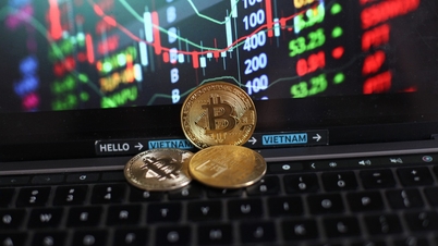 Harga Bitcoin hari ini, 11 Juni 2026: Guncangan psikologis menyebabkan uang mengalir keluar dari pasar.