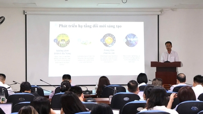 Discussion sur la mise en œuvre du projet « Da Nang – Ville de l’innovation ».