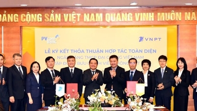 VNPT ve PVcomBank, finansın gücünü dijital teknolojiyle birleştirmek için iş birliği yapıyor.