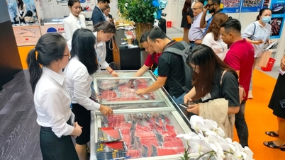 Ho Chi Minh-staden utvecklar proaktivt prisstabiliseringsplaner för att hantera marknadstrycket.