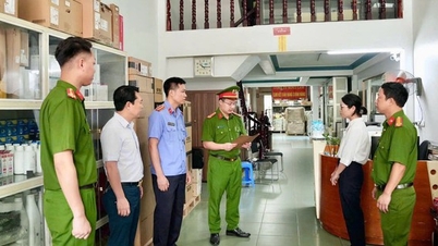 Khởi tố vụ án đầu tiên trên cả nước về xâm phạm quyền tác giả đối với phần mềm máy tính