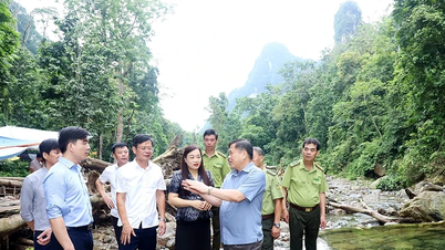 ការអភិវឌ្ឍទេសចរណ៍អេកូឡូស៊ីនៅក្នុងឧទ្យានជាតិសួនសើនត្រូវតែភ្ជាប់ជាមួយនឹងការអភិរក្សព្រៃឈើពិសេស។