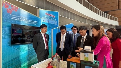 Hai Phong får et gennembrud med et milliardprojekt: Opbygning af et økosystem i international klasse for startups, innovation og kunstig intelligens.