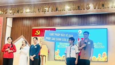 TP Hồ Chí Minh tổ chức thi tìm hiểu pháp luật về gia đình và phòng, chống bạo lực gia đình năm 2026