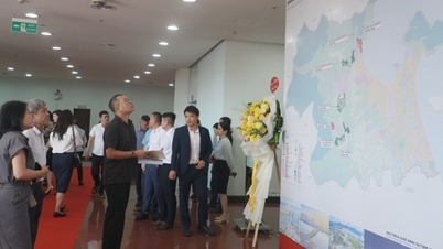 Investor untuk posisi 3 dan 4 di Zona Perdagangan Bebas Da Nang telah terungkap.