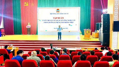 Lao Cai: Pelatihan tentang produksi pertanian berteknologi tinggi, mempromosikan rantai nilai.