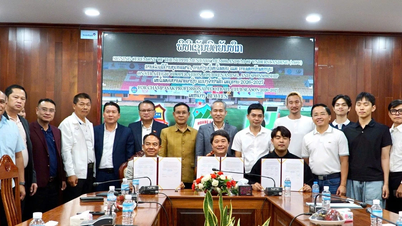 Hoang Anh Gia Lai Group Champasak HAGL Avenir FC-তে প্রচুর বিনিয়োগ করছে।