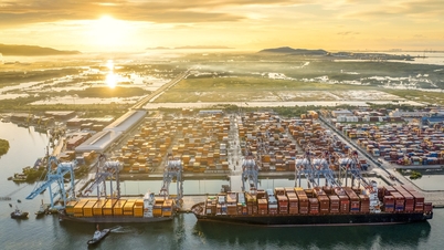 Wanneer twee Vietnamese containerhavenclusters tot de top 20 van de wereld behoren qua efficiëntie.