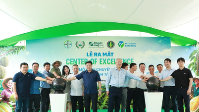 Bayer Vietnam, Orta Yaylalar bölgesinde durian ve kahve için sürdürülebilir tarım teknolojisinin aktarılmasına yönelik bir model başlattı.