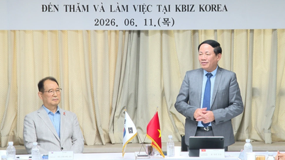 Chủ tịch UBND tỉnh Phạm Anh Tuấn làm việc với các tổ chức, doanh nghiệp Hàn Quốc
