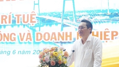 บริษัท Vinh Long เพิ่มมูลค่าให้กับผลิตภัณฑ์หลักของตนผ่านการคุ้มครองทรัพย์สินทางปัญญา