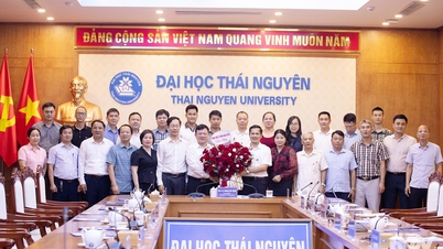 Thai Nguyen Universitet mødes med pressebureauer.