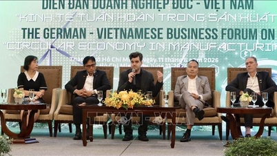 De samenwerking tussen Vietnam en Duitsland biedt nieuwe mogelijkheden voor duurzame productie.