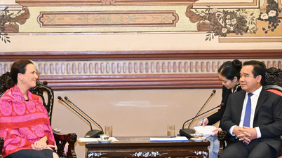 Ho Chi Minh City strengthens cooperation with Australia in many fields.