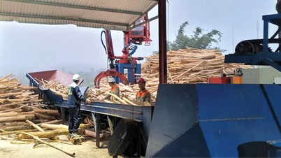 Mendiversifikasi mata pencaharian untuk pengurangan kemiskinan yang berkelanjutan.