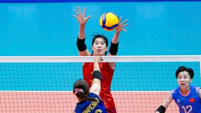 AVC Cup schedule for June 12th: Vietnam women's volleyball team faces Kazakhstan.