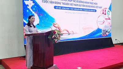 Vietnamese goods face many new challenges.
