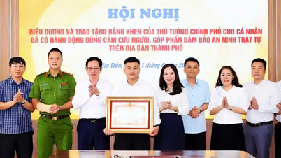 Pemuda bernama Pham The Huy Hoang dengan berani menyelamatkan seseorang dan menerima penghargaan dari Perdana Menteri.