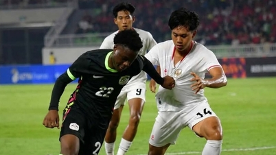 Australien U19 besejrede værtsnationen Indonesien og møder Thailand i den sydøstasiatiske finale.