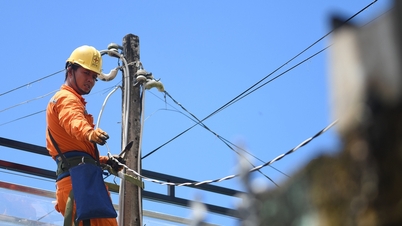 EVN makes huge profits but still incurs losses: Clearly raises the question of "will electricity prices be reduced?"