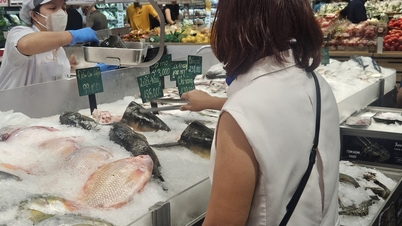 Pescado de mar o pescado de agua dulce: ¿Cuál es la mejor opción para las personas con enfermedades crónicas?