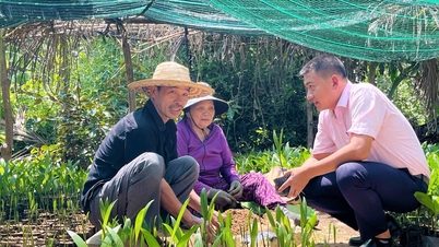 Ketika Bukit-Bukit Bangkit - Bagian 2: Aliran Modal "Menabur Benih" untuk Panen yang Melimpah