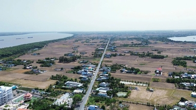 Tay Ninh mengusulkan "pertukaran" 2.609 hektar lahan untuk mendapatkan dana guna membangun pusat administrasi dan beberapa proyek lainnya.