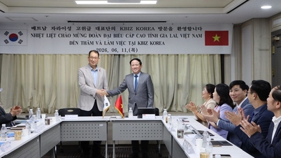 Gia Lai is stepping up investment connections with South Korean partners.