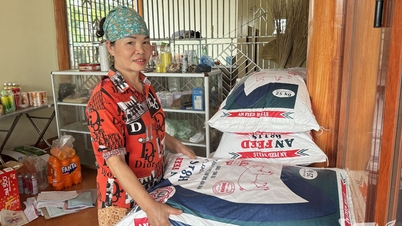 Bebaskan diri dari kemiskinan dengan berani berpikir dan berani bertindak.
