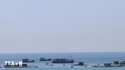 Le moteur de l'essor de Khanh Hoa en tant que centre économique maritime.