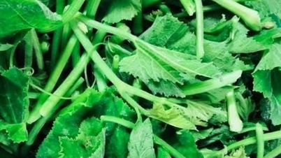 Menambah darah dan menyejukkan kulit pada musim panas dengan sayur-sayuran yang mudah didapati ini.