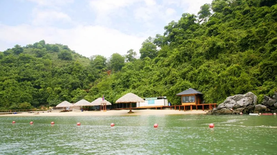 Bãi biển ở Việt Nam tên rất lạ, ít người biết, vào top đẹp nhất thế giới