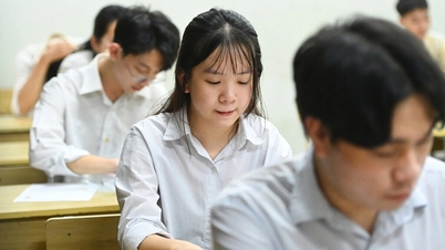 Kumpulan soal ujian Biologi paling akurat untuk ujian kelulusan SMA tahun 2026.