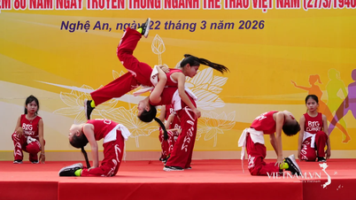 Biểu diễn động tác khoẻ và đẹp
