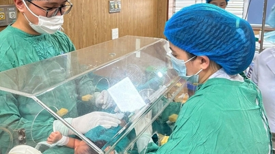 Menyelamatkan nyawa bayi baru lahir dengan jaundis yang teruk, mencegah risiko kerosakan otak sepanjang hayat.
