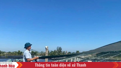 הגנה על אזורי חקלאות ימית במהלך העונה החמה.