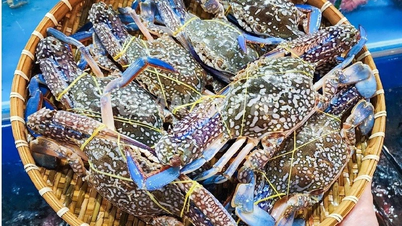 Amerika Serikat telah menghentikan impor kepiting dari Filipina, sehingga menciptakan peluang bagi produsen kepiting Vietnam.