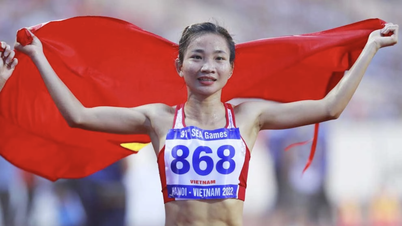 Vietnam'ın milyarlarca dolarlık spor ekonomisi özellikle sevindirici haberler alıyor.