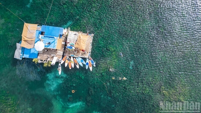 [Gambar] 'Magnet' yang menarik wisatawan ke Zona Ekonomi Khusus Phu Quy