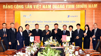 VNPT ve PVcomBank, finansal gücü dijital teknolojiyle birleştiren stratejik bir ortaklığa imza attı.
