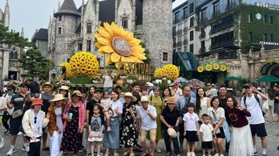 Ngoc Thach Travel menegaskan posisinya di pasar pariwisata Da Nang.