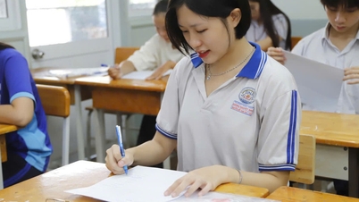 Bài giải 48 mã đề môn hóa học thi tốt nghiệp THPT 2026