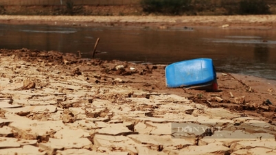 El Nino, diễn biến mới nhất: El Nino đã xuất hiện, Việt Nam và Đông Nam Á chịu ảnh hưởng ở mức độ nào?
