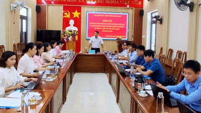 Quang Ngai: 41,700 سے زیادہ بنیادی ارکان نچلی سطح پر قانونی معلومات پھیلانے میں حصہ لیتے ہیں۔