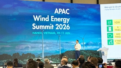 Tanska ja 35 vuoden merituulivoiman kehittämisen opetukset Vietnamissa.